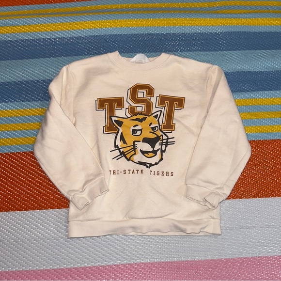 H&M Cream Sweatshirt Tiger Graphic Toddler Boy Size 5T - Picture 1 of 3